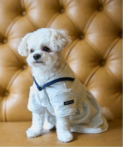 petit main / プティマイン ペットグッズ | 【リンク】【DOG】セーラー衿ワンピ | 詳細1