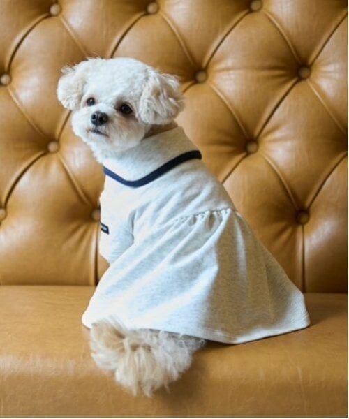 petit main / プティマイン ペットグッズ | 【リンク】【DOG】セーラー衿ワンピ | 詳細2