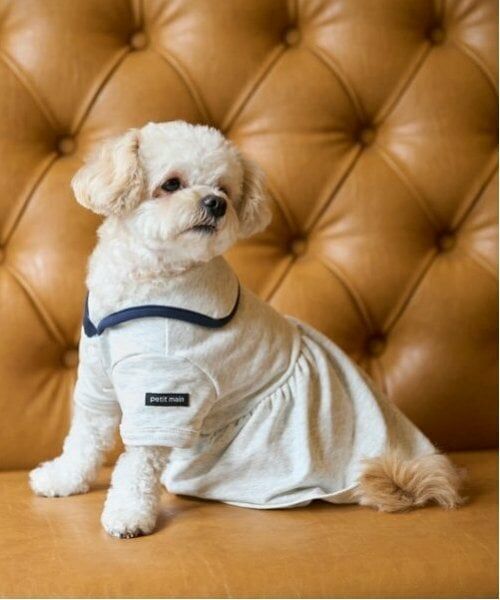 petit main / プティマイン ペットグッズ | 【リンク】【DOG】セーラー衿ワンピ | 詳細3