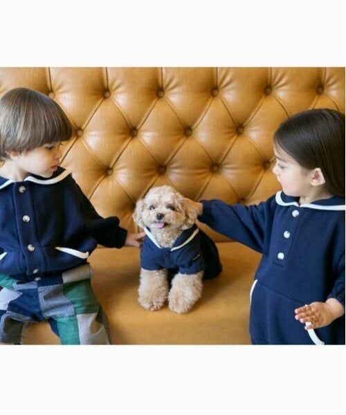 petit main / プティマイン ペットグッズ | 【リンク】【DOG】セーラー衿ワンピ | 詳細4