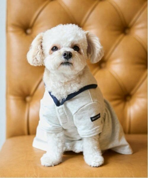 petit main / プティマイン ペットグッズ | 【リンク】【DOG】セーラー衿ワンピ（シロ杢）