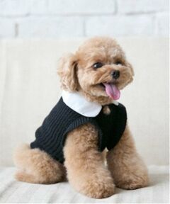 petit main / プティマイン ペットグッズ | 【リンク】【DOG】パールリボンつきニットタンク