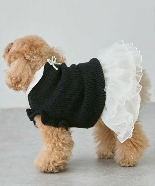 petit main / プティマイン ペットグッズ | 【リンク】【DOG】パールリボンつきニットタンク | 詳細10