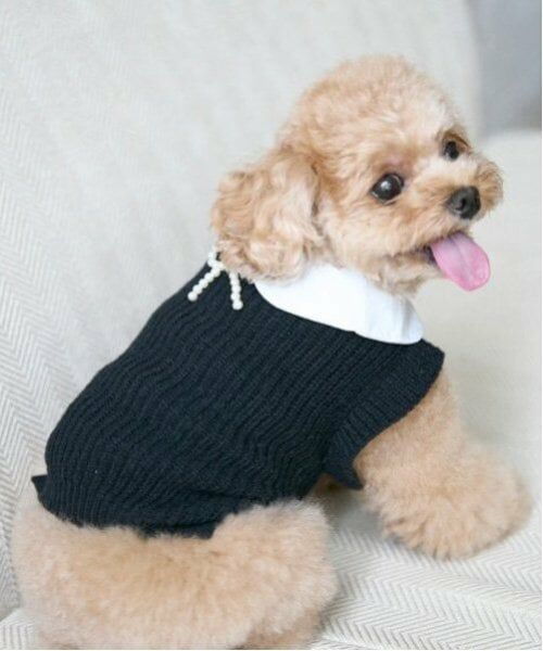 petit main / プティマイン ペットグッズ | 【リンク】【DOG】パールリボンつきニットタンク | 詳細5