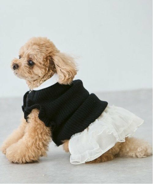 petit main / プティマイン ペットグッズ | 【リンク】【DOG】パールリボンつきニットタンク | 詳細9