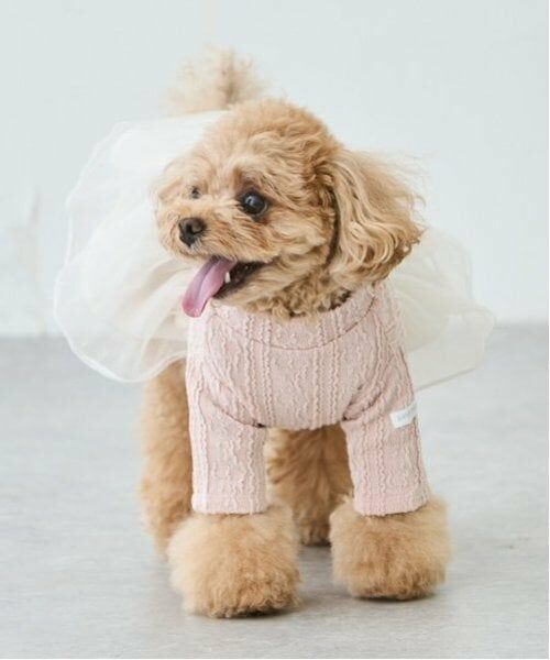 petit main / プティマイン ペットグッズ | 【DOG】チュールスカートドッキングワンピ | 詳細1