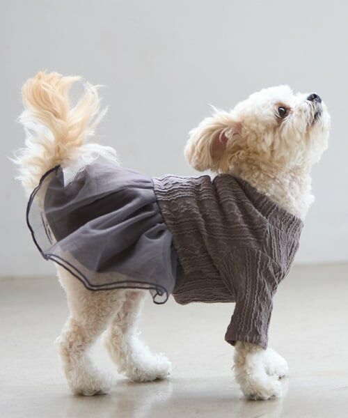 petit main / プティマイン ペットグッズ | 【DOG】チュールスカートドッキングワンピ | 詳細12