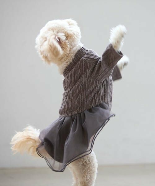 petit main / プティマイン ペットグッズ | 【DOG】チュールスカートドッキングワンピ | 詳細13