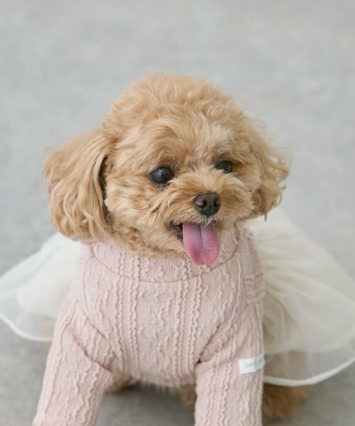 petit main / プティマイン ペットグッズ | 【DOG】チュールスカートドッキングワンピ | 詳細3