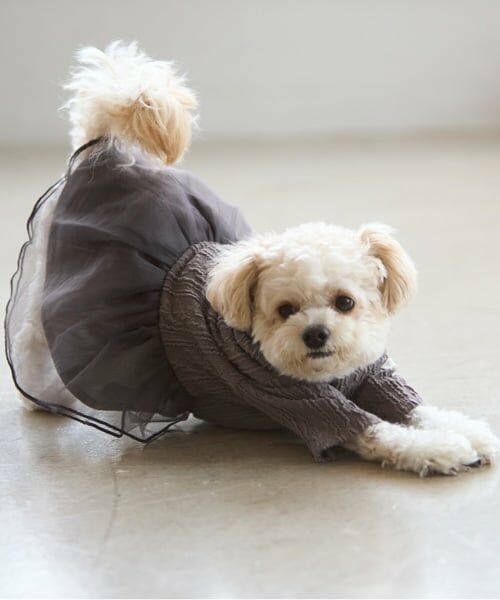 petit main / プティマイン ペットグッズ | 【DOG】チュールスカートドッキングワンピ | 詳細7