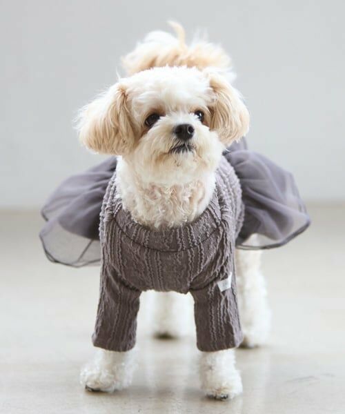 petit main / プティマイン ペットグッズ | 【DOG】チュールスカートドッキングワンピ | 詳細9