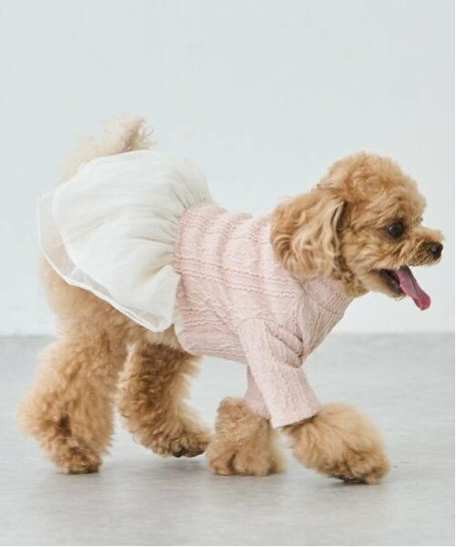 petit main / プティマイン ペットグッズ | 【DOG】チュールスカートドッキングワンピ | 詳細24