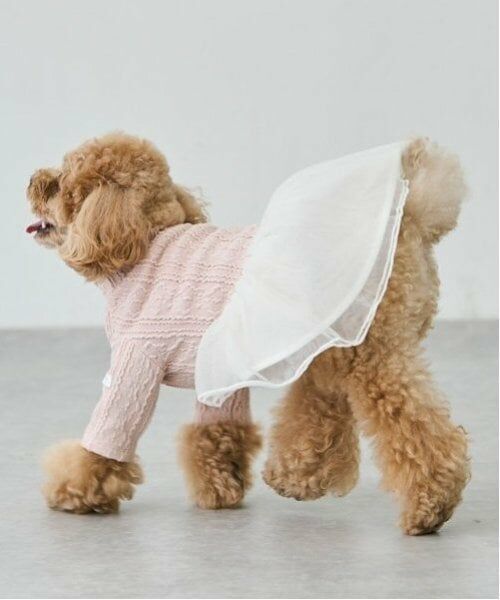 petit main / プティマイン ペットグッズ | 【DOG】チュールスカートドッキングワンピ | 詳細25