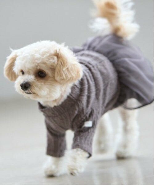 petit main / プティマイン ペットグッズ | 【DOG】チュールスカートドッキングワンピ | 詳細27