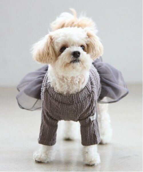 petit main / プティマイン ペットグッズ | 【DOG】チュールスカートドッキングワンピ | 詳細28