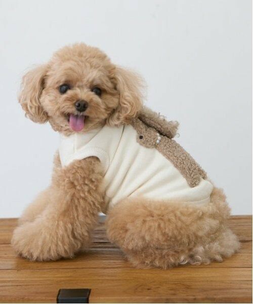 petit main / プティマイン ペットグッズ | 【DOG】ふわふわプードルタンク | 詳細1