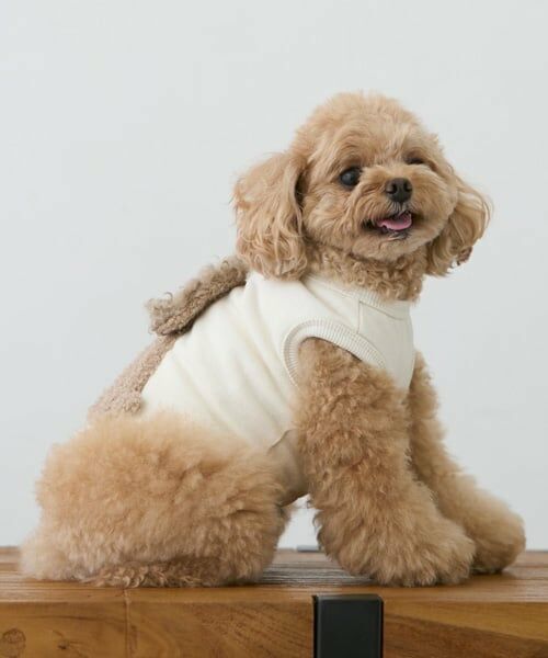 petit main / プティマイン ペットグッズ | 【DOG】ふわふわプードルタンク | 詳細3