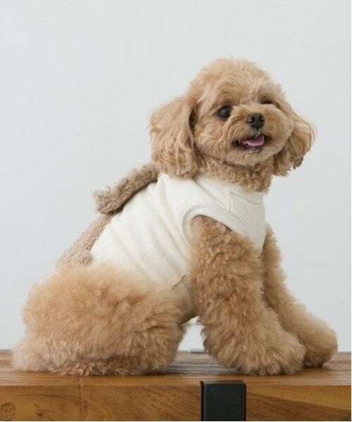 petit main / プティマイン ペットグッズ | 【DOG】ふわふわプードルタンク | 詳細19