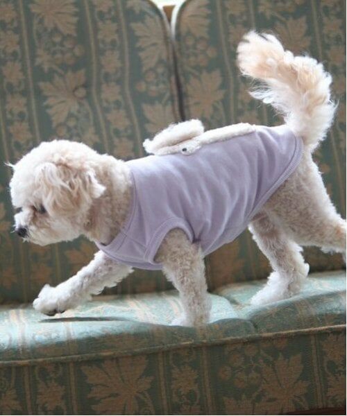 petit main / プティマイン ペットグッズ | 【DOG】ふわふわプードルタンク | 詳細22