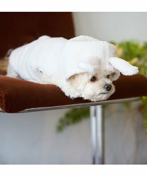 petit main / プティマイン ペットグッズ | 【DOG】アニマルなりきりボアベスト | 詳細3