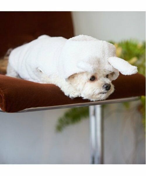 petit main / プティマイン ペットグッズ | 【DOG】アニマルなりきりボアベスト | 詳細22