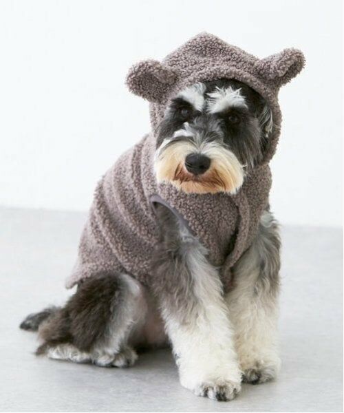 petit main / プティマイン ペットグッズ | 【DOG】アニマルなりきりボアベスト | 詳細23