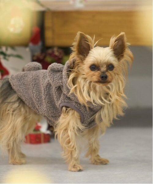 petit main / プティマイン ペットグッズ | 【DOG】アニマルなりきりボアベスト | 詳細27