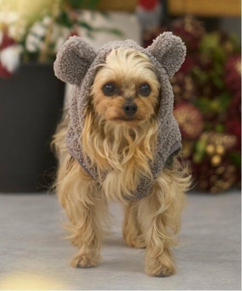 petit main / プティマイン ペットグッズ | 【DOG】アニマルなりきりボアベスト | 詳細28