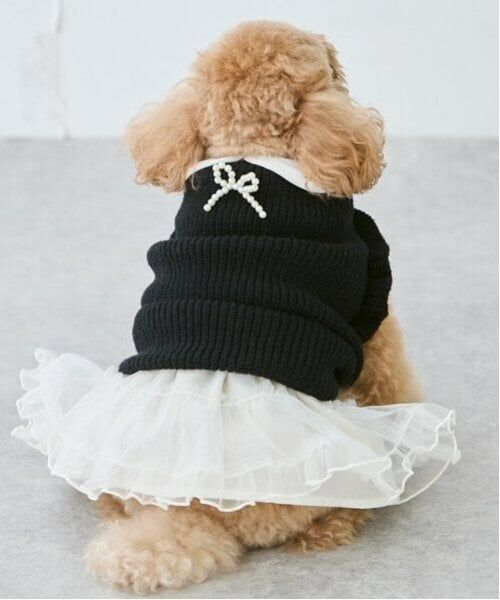 petit main / プティマイン ペットグッズ | 【DOG】チュールスカート | 詳細1
