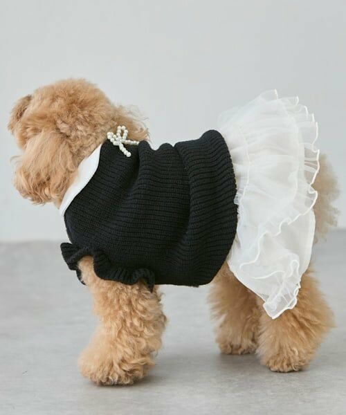 petit main / プティマイン ペットグッズ | 【DOG】チュールスカート | 詳細4
