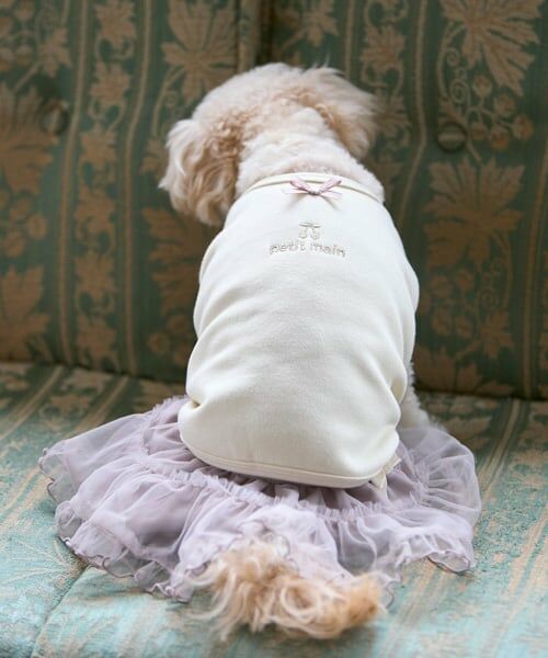 petit main / プティマイン ペットグッズ | 【DOG】チュールスカート | 詳細5
