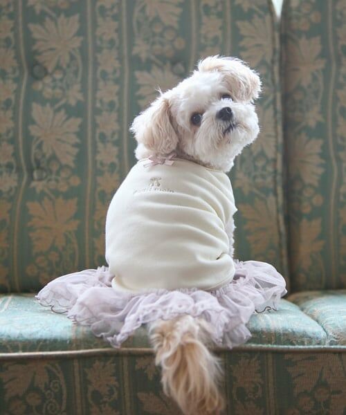 petit main / プティマイン ペットグッズ | 【DOG】チュールスカート | 詳細6