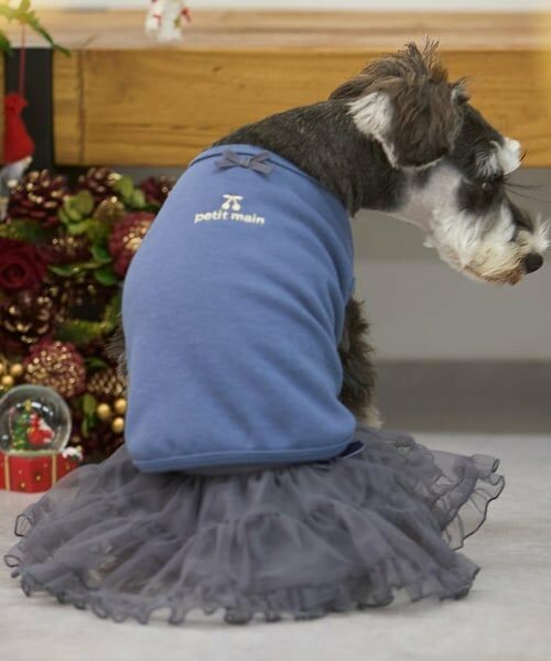 petit main / プティマイン ペットグッズ | 【DOG】チュールスカート | 詳細7
