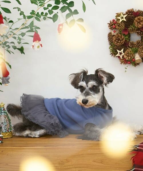 petit main / プティマイン ペットグッズ | 【DOG】チュールスカート | 詳細8