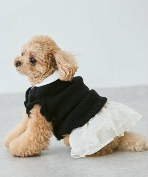 petit main / プティマイン ペットグッズ | 【DOG】チュールスカート | 詳細20