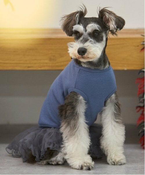 petit main / プティマイン ペットグッズ | 【DOG】チュールスカート（チャコール）