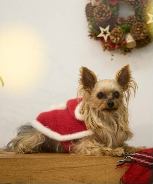 petit main / プティマイン ペットグッズ | 【DOG】クリスマスポンチョ | 詳細1