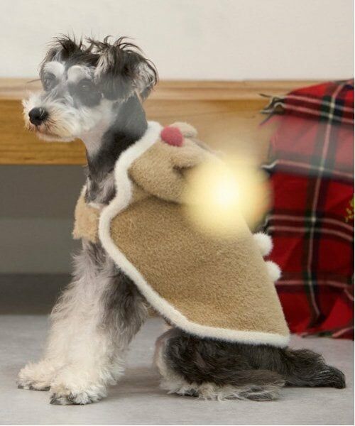 petit main / プティマイン ペットグッズ | 【DOG】クリスマスポンチョ | 詳細4