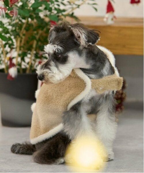 petit main / プティマイン ペットグッズ | 【DOG】クリスマスポンチョ | 詳細5