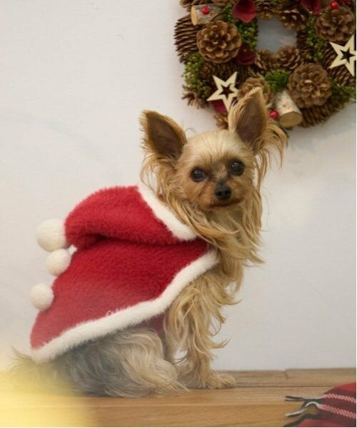 petit main / プティマイン ペットグッズ | 【DOG】クリスマスポンチョ（赤）