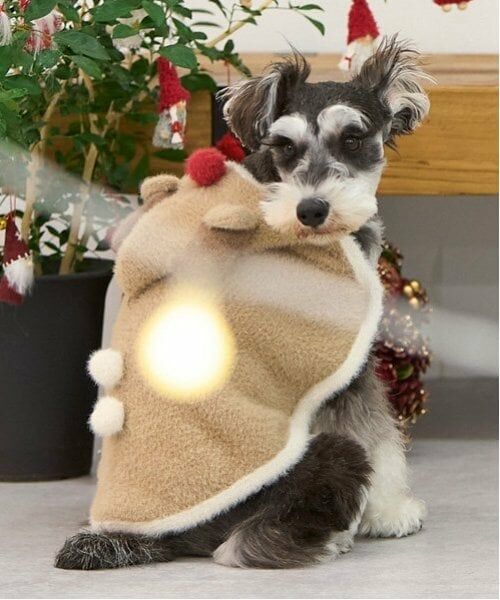 petit main / プティマイン ペットグッズ | 【DOG】クリスマスポンチョ（ベージュ）
