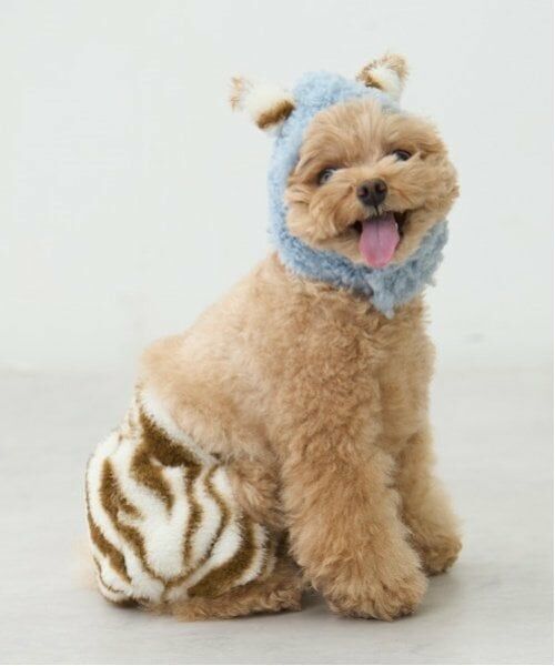 petit main / プティマイン ペットグッズ | 【DOG】（節分）鬼なりきりパンツ | 詳細1