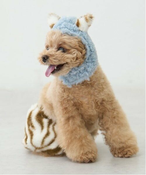 petit main / プティマイン ペットグッズ | 【DOG】（節分）鬼なりきりパンツ | 詳細2