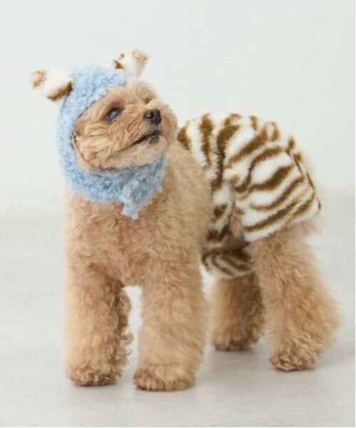 petit main / プティマイン ペットグッズ | 【DOG】（節分）鬼なりきりパンツ | 詳細4