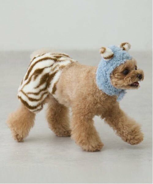 petit main / プティマイン ペットグッズ | 【DOG】（節分）鬼なりきりパンツ | 詳細5