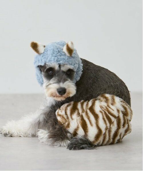 petit main / プティマイン ペットグッズ | 【DOG】（節分）鬼なりきりパンツ | 詳細7