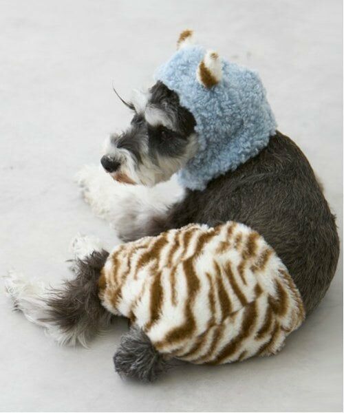 petit main / プティマイン ペットグッズ | 【DOG】（節分）鬼なりきりパンツ | 詳細8