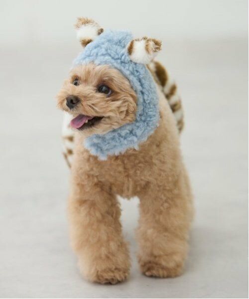 petit main / プティマイン ペットグッズ | 【DOG】（節分）鬼なりきりパンツ（ベージュ）