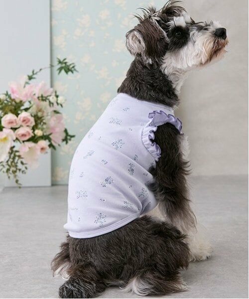 petit main / プティマイン ペットグッズ | 【リンク】【DOG】総柄肩フリルタンク | 詳細1