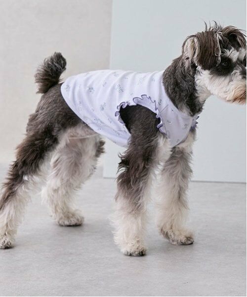 petit main / プティマイン ペットグッズ | 【リンク】【DOG】総柄肩フリルタンク | 詳細2